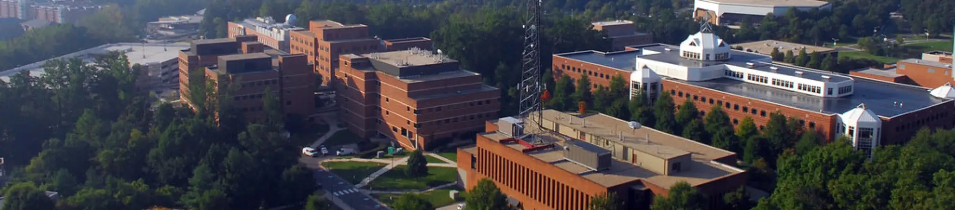 Visual and Performing Arts